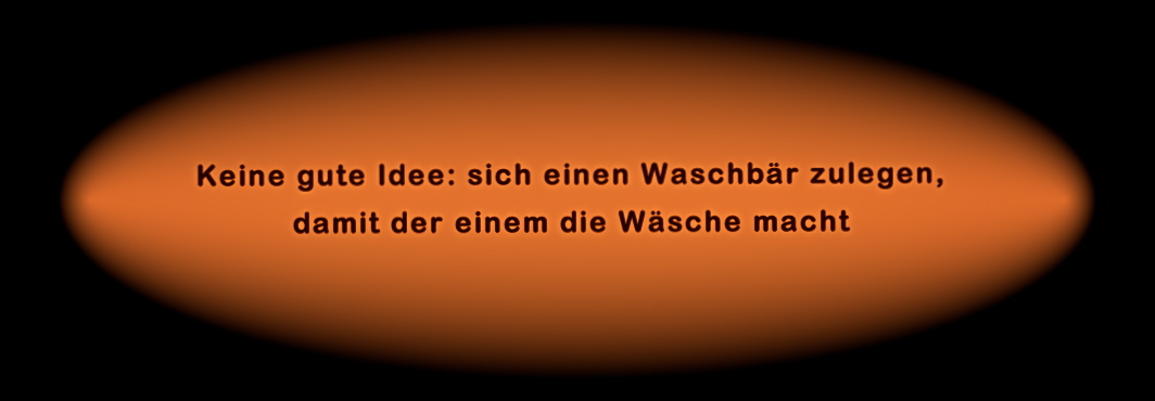 Spruchreif 2, Waschbär